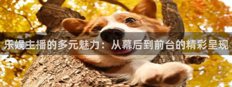 富邦娱乐：乐娱主播的多元魅力：从幕后到前台的精彩呈现