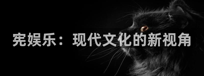 富邦娱乐：宪娱乐：现代文化的新视角