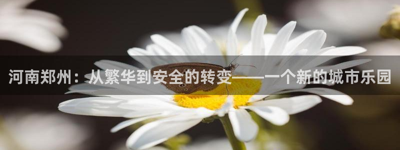 富邦娱乐：河南郑州：从繁华到安全的转变——一个新的城市乐园