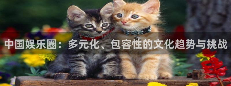 富邦娱乐：中国娱乐圈：多元化、包容性的文化趋势与挑战